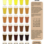 I colori della birra: le scale di misura