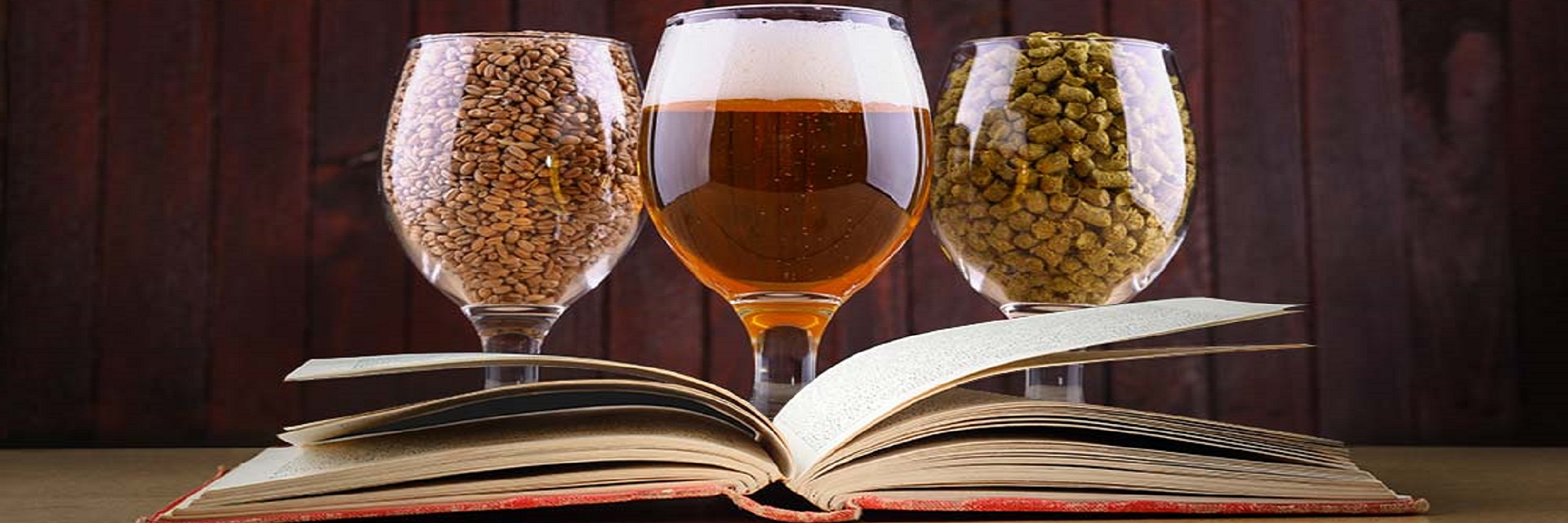 Birra e Alcol: consumo consapevole